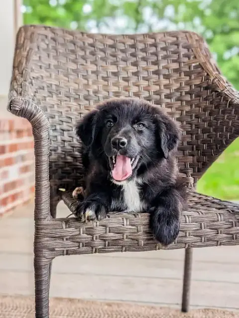 Teddy Eb In Ms photo 2