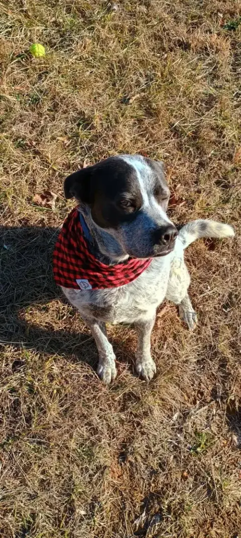 Maggie photo 3