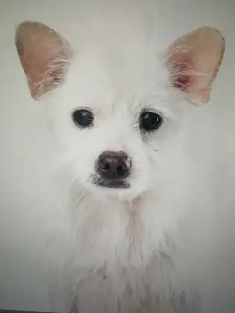 Bijou photo 4