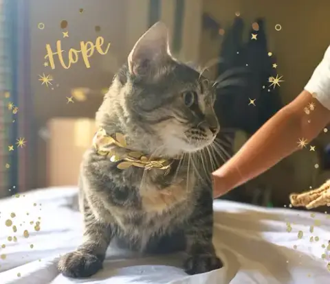 Hope photo 3