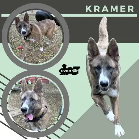 Kramer
