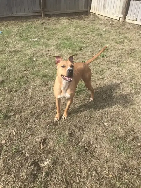 Cash photo 4