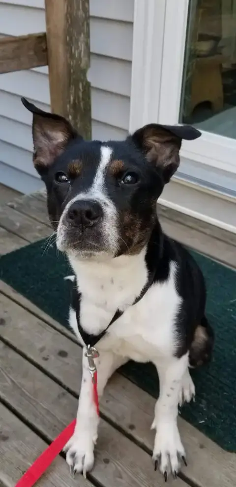 Maggie photo 2