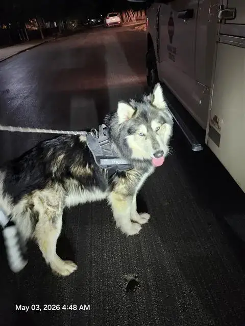 Max