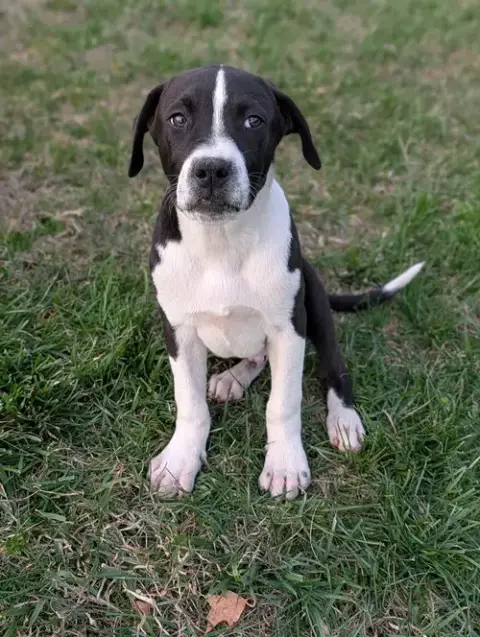 Zeus photo 3