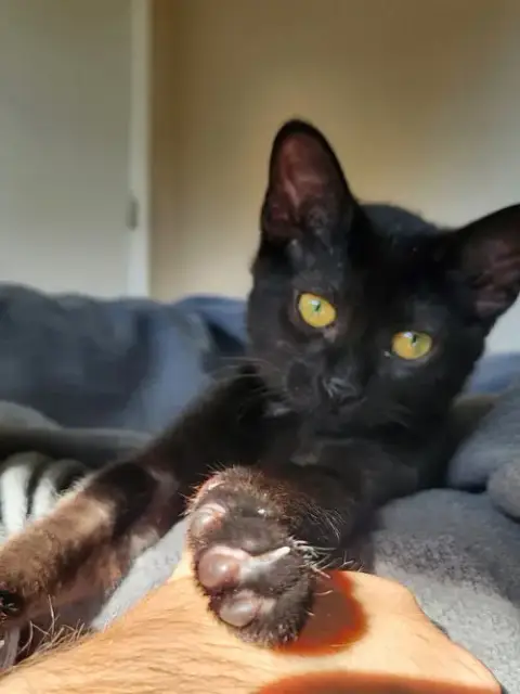 Jiji photo 2