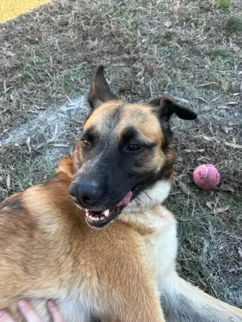 Mama Rosie