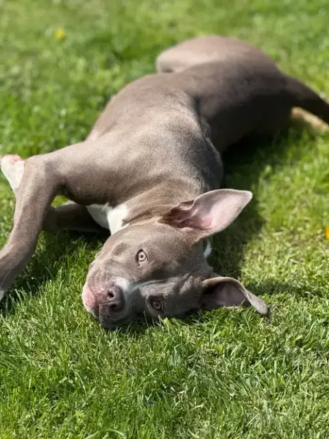 Bella photo 3