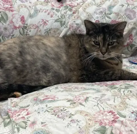 Maggie photo 2