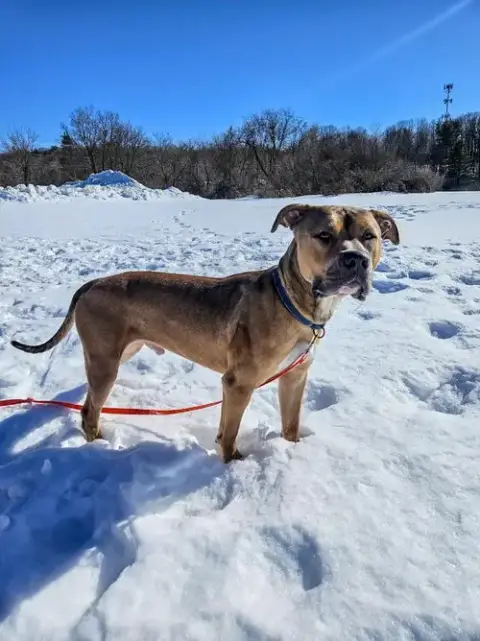 Zeus photo 4