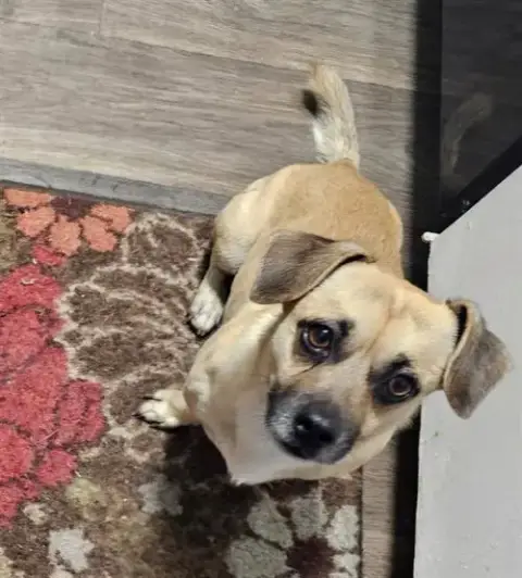 Duke