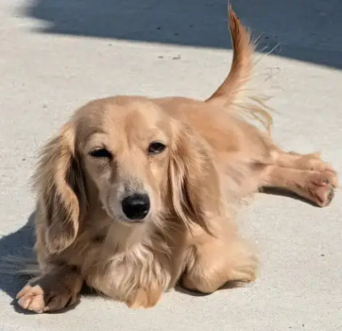 Eve In Sc photo 3