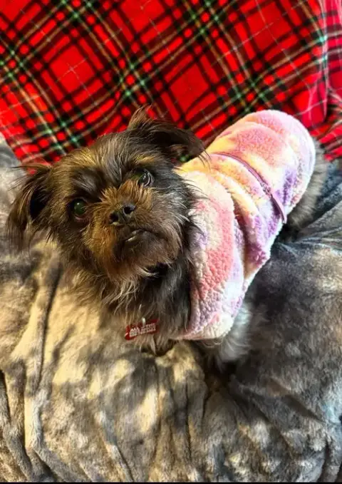 Chloe photo 2