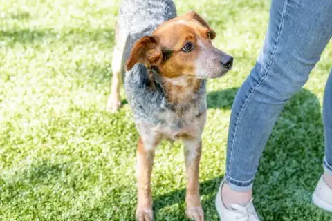 Fiona photo 3
