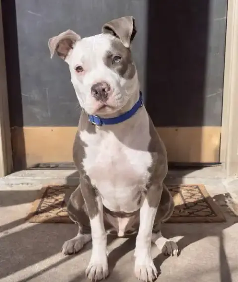 Zeus