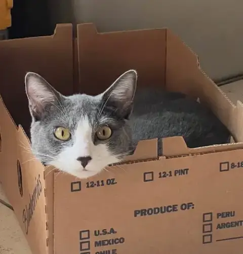 Zeus photo 4
