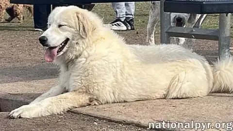 Luna In Nj photo 2