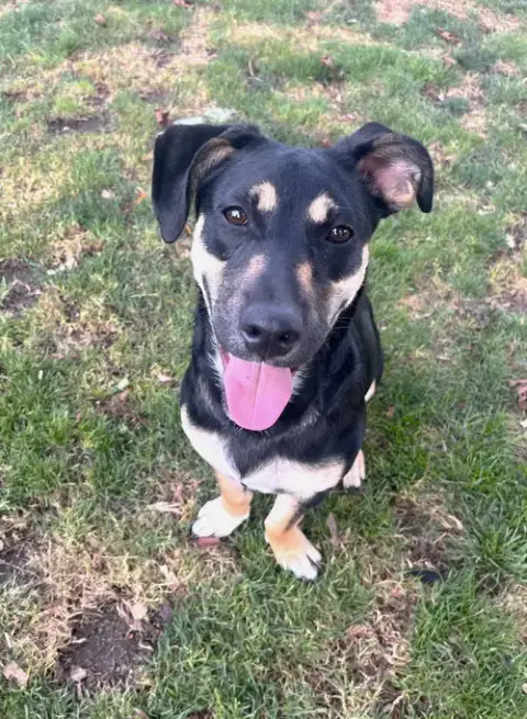 Lil Dipper Aka Leo