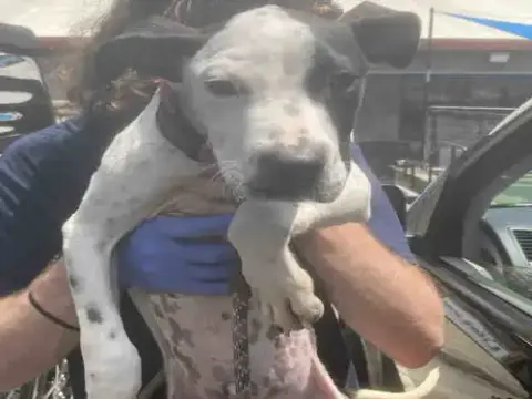 Benny
