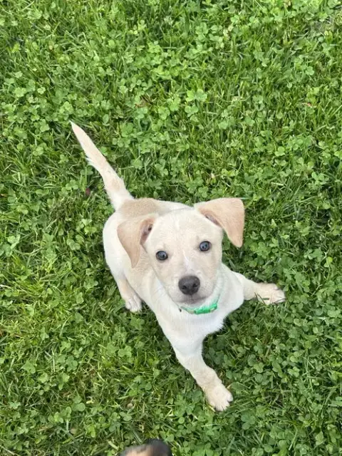 Marley