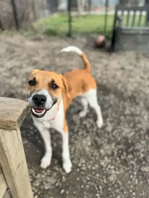 Kansas photo 4