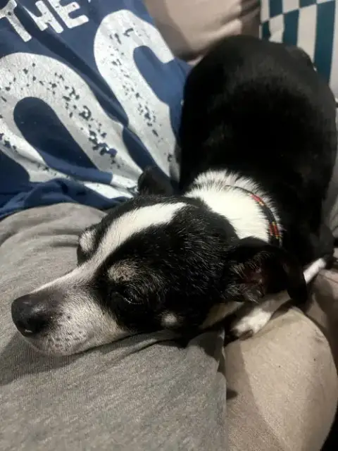Charlie photo 3