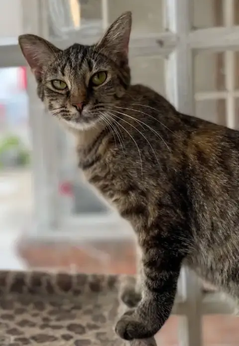 Kate
