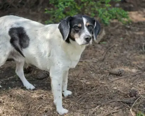Leroy photo 2