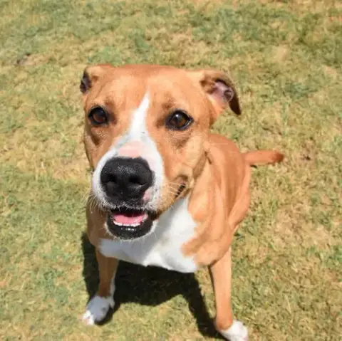 Lucy photo 2