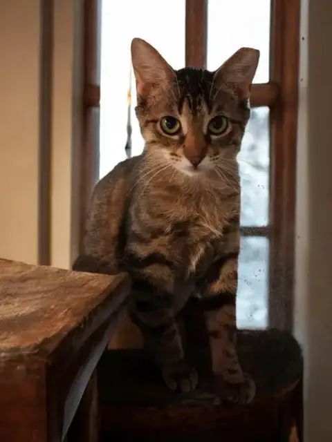 Annie photo 4