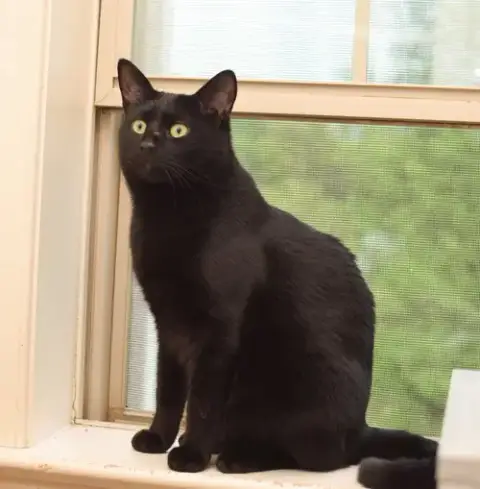 Zeus photo 2