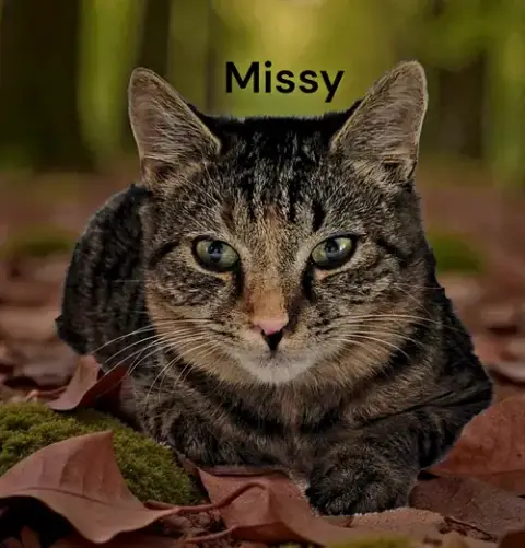 Missy photo 2