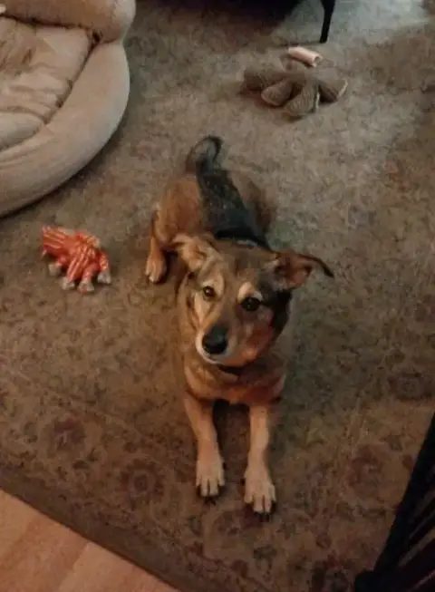 Indy -Girl photo 4