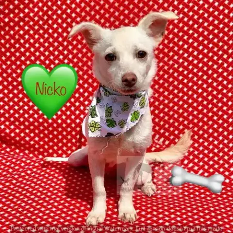 Nicko
