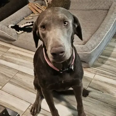 Chloe photo 2