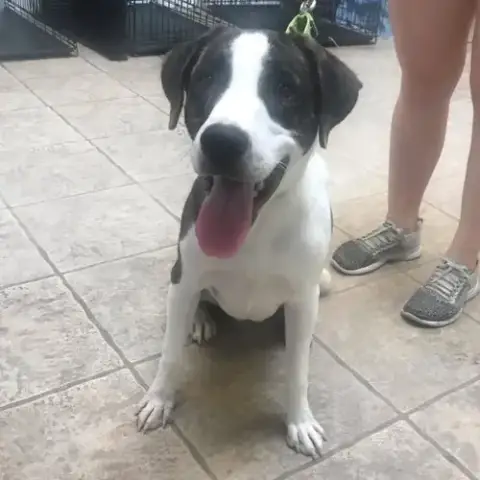 Axel
