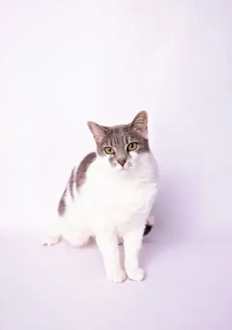 Charlie