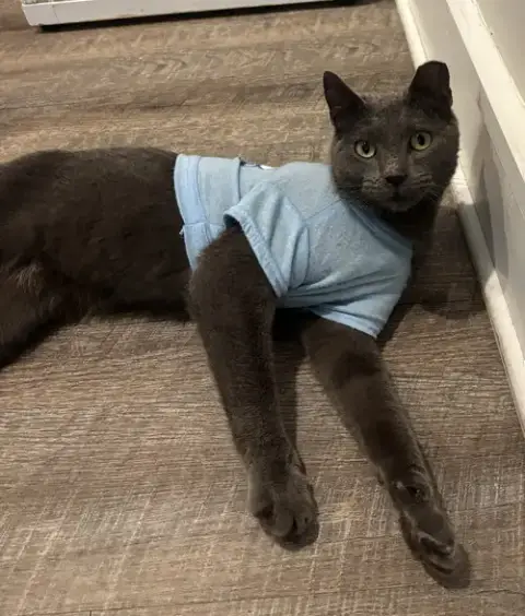 Ac