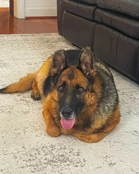 Sadie photo 3