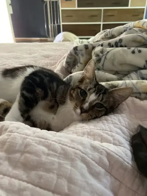 Finn photo 3