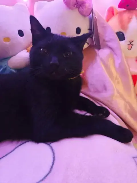 Precious photo 2