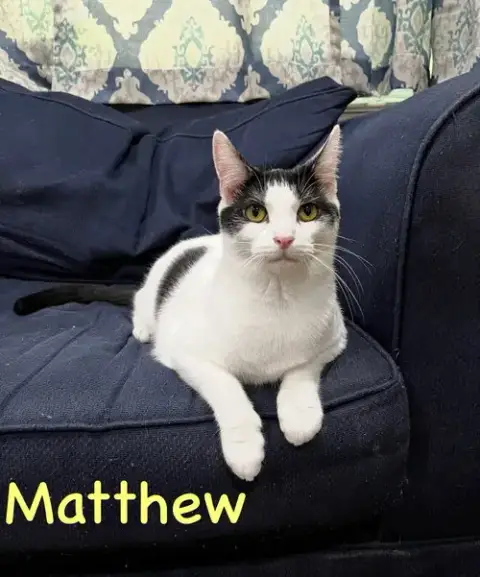 Matthew W/Mickey