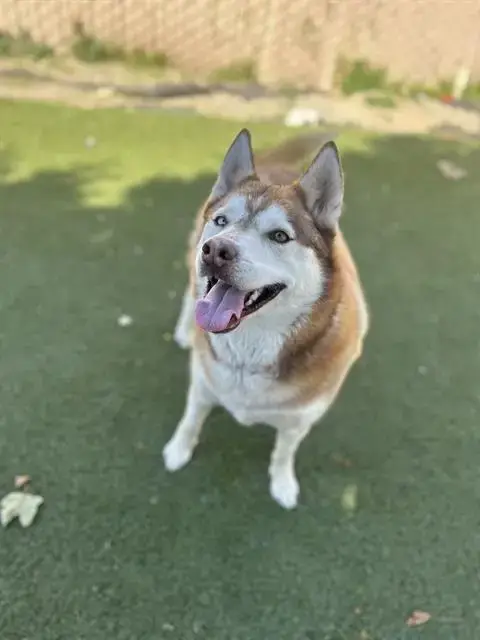 Bella