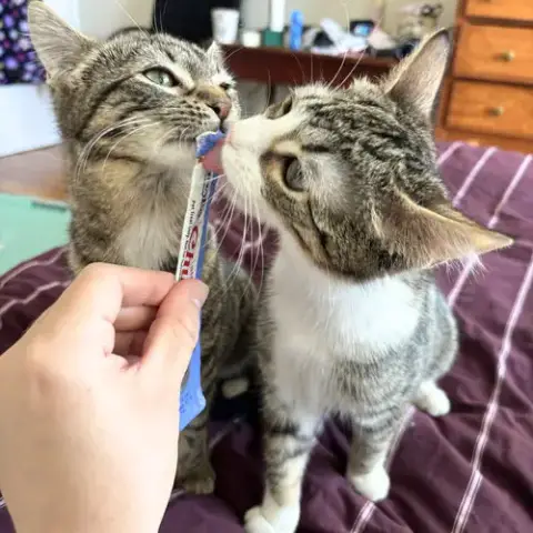Patricia & Roseanna Arcat
