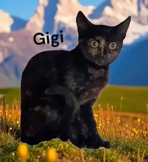 Gigi photo 2