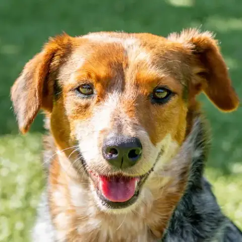 Fiona