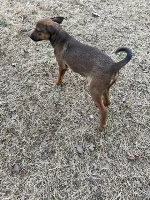 Riley photo 2