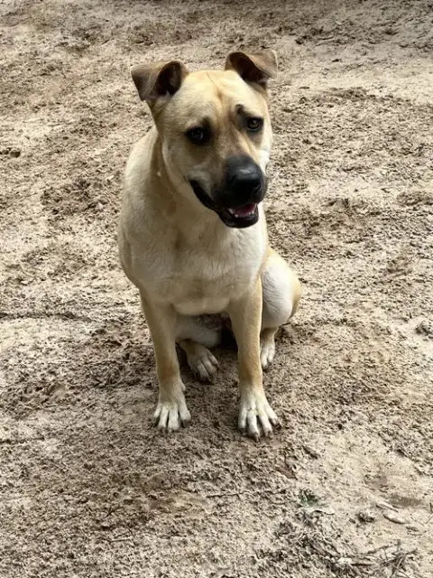 Sadie photo 3