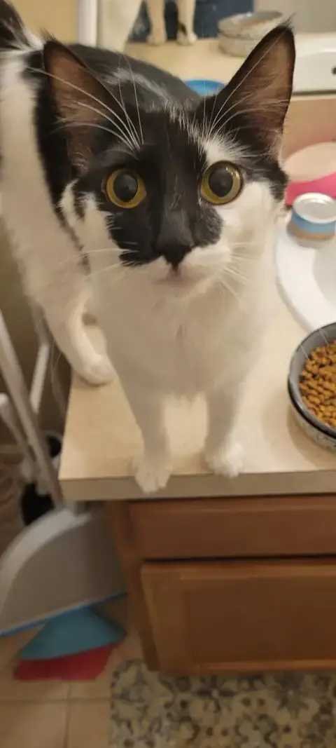 Nellie Mae