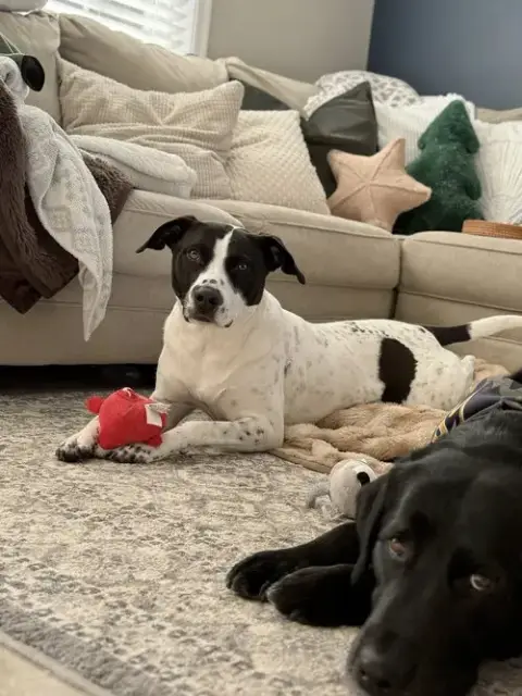 Luna photo 3